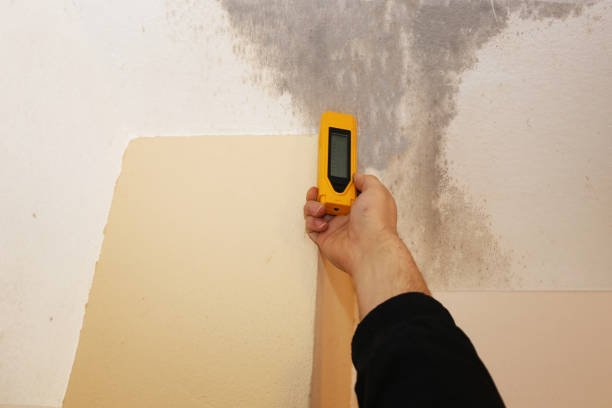 Best Forensic Mold Investigation  in Mmerce City, CO