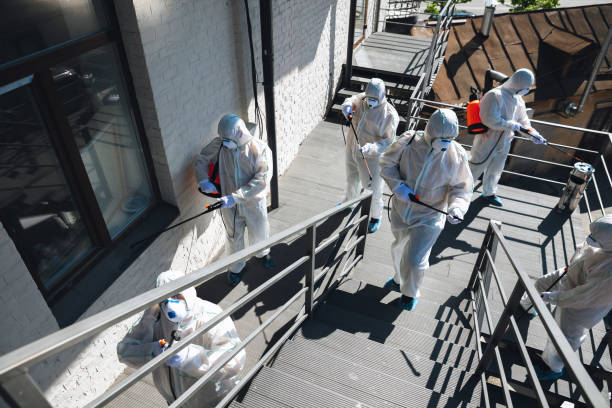 Best Real Estate Mold Inspection  in Mmerce City, CO