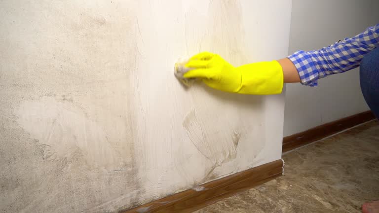  Mmerce City, CO Mold Removal Pros